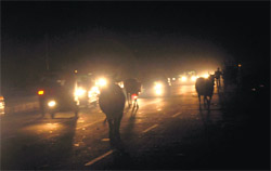Stray cattles block traffic during late evening hours in absence of street lights at Sector 26 in Chandigarh on Sunday. 