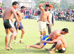 Players slug it out during the Shahi Kabaddi Cup organised by the Nirwair Khalsa Kabaddi Academy on the Polo Ground in Patiala on Sunday. 