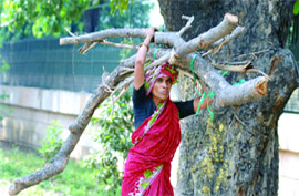 A woman carries firewood in New Delhi.