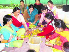 Women get training at a camp organised by Bagwan Gramudyog Samiti at Shyampur village in Dehradun on Friday.