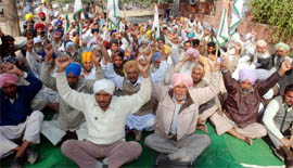 Members of the Bharti Kisan Union (Ekta), led by district president Baldev Singh Bhairupa, staging a protest against the PSEB unbundling outside the Mini-secretariat in Bathinda on Monday.