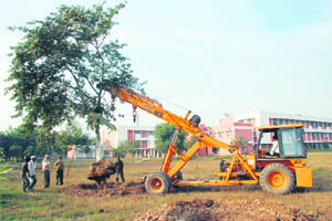 A grown-up tree being uprooted with root ball intact to be transplanted elsewhere on the campus of the Guru Jambheshwar University of Science and Technology in Hisar.