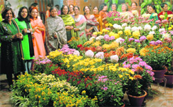 Dr Guneeta Gill and her friends enjoy the chrysanthemums