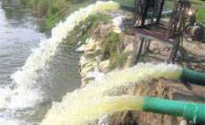 Water being drained out by a pump at Khapadvaad village in Jhajjar.