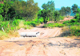 In violation of forest protection laws, a causeway comes up on an illegal road being built in Kasauli village near Chandigarh.