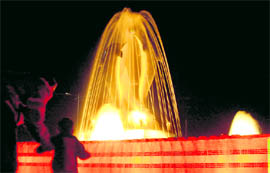 The roundabout near IT Park in Sector 4 of Panchkula dons a new look, with dolphins attracting crowds.