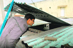A man looks through the tin sheet that was removed by thieves in Industrial Area, Phase II, Chandigarh, on Friday.