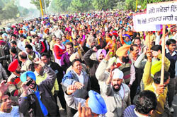 PAU employees raise slogans in support of their demands in Ludhiana on Friday.
