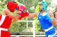 Boxers take part at the trials of the HNB Garhwal University in Dehradun on Saturday