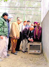Principal secretary forest RC Nayyar examines an enclosure during a visit to the Ludhiana zoo.