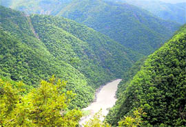 Quiet flows the Ganga in the forested hills near Devprayag in the Garhwal region
