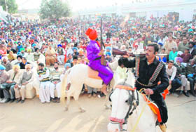 Artistes perform the folklore of Jeuna Mor during Virasat Mela at Jaipalgarh in Bathinda on Sunday. 
