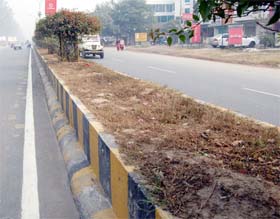 A view of the unkempt central verge outside Khalsa College in Amritsar