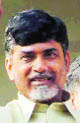 N Chandrababu Naidu, TDP president