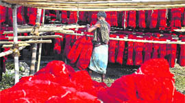 As normalcy returns, the hoisery industry witness spurt in activities to meet the deadlines in Ludhiana on Thursday.