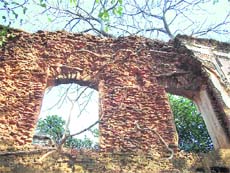 A view of the crumbling Jasrota Fort palace, with tree roots and untrimmed grass adding to the damage.
