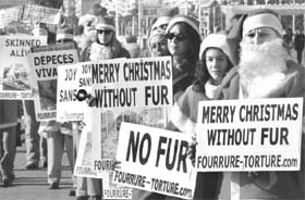Fur fighters: Anti-fur activists dressed as Santa Claus protest at Nice in France on Saturday.