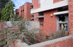 Houses in dilapidated condition at the colony maintained by the Health Department at the Civil Hospital in Bathinda. 