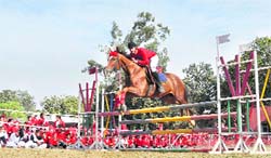 A rider in action during a horse show organised at Government Senior Secondary School on PAU campus in Ludhiana. 