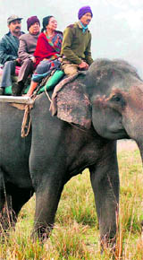 Newly appointed Governor of Assam JB Patnaik enjoys an elephant ride along with his family at Pobitora Wildlife Sanctuary on Sunday.