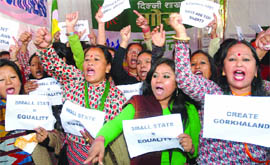 Gorkhaland supporters demand separate land, at Parliament in New Delhi on Monday.