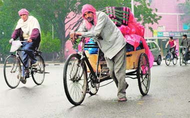 UNDER WRAPS: A cart-puller braves the chill following a drizzle in Chandigarh on Tuesday morning.
