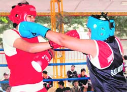 A match in progress during the boxing championship in Chandigarh on Tuesday.