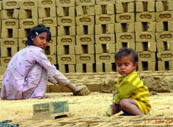 Children too had to slug it out for livelihood. Tribune photos: Malkiat Singh