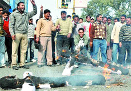 BSP workers burn the effigy of Chief Minister Parkash Singh Badal in Jalandhar. Tribune photo: Malkiat Singh