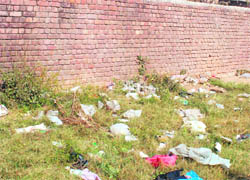 Heaps of garbage and domestic waste along the boundary walls of the south campus of Panjab University in Sector 25, Chandigarh.