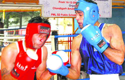 A match in progress during the 17th Senior Men and Women North Zone Boxing Championship in Chandigarh on Wednesday.