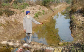 A farmer of Kapoor village shows the portion of the Bist Doab Canal, which has been cleared of wild growth.