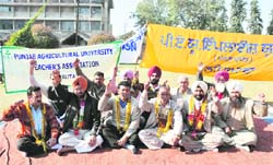 Members of the PAU employees' Joint Forum sit on a chain fast in protest against the state government in Ludhiana on Thursday. 