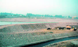 The site for the artificial lake.