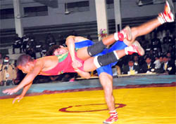 Indias Krishan Hari (Blue) during his match against Minnaar Louis of South Africa at the Commonwealth Wrestling Championship in Jalandhar on Friday. Tribune photo: Malkiat Singh