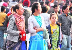 Foreign devotees take part in a rath yatra in Ludhiana