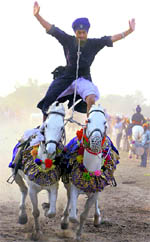 A Nihang displays his skills during a livestock show which opened in Bathinda on Saturday. A Tribune photograph