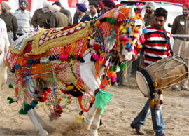 A dancing horse catches everyones attention at the fair. A Tribune photograph