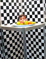 A child peeps through a box at Panorama Science Museum in Kurukshetra on Sunday.