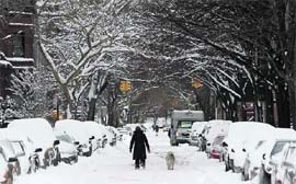 Snow covers a street in Brooklyn, New York. 