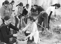 Students take part in an NSS camp in Patiala 