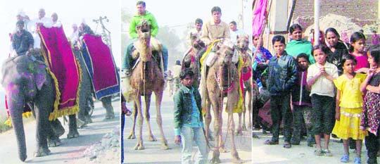 Khap and gotra pradhans arrive on elephants and camels at Janti Kalan village in Sonepat
