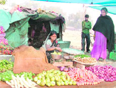 A vendor sells vegetables in Ludhiana.