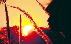 Setting sun makes for a beautiful view in Chandigarh on Tuesday.