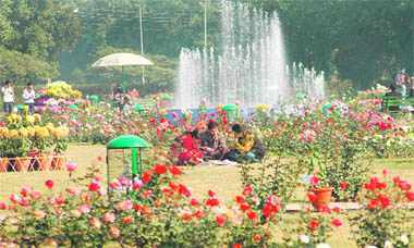 Studying in Natures lap: Students prepare for their up-coming examinations at Panjab Universitys mini rose garden on Saturday.