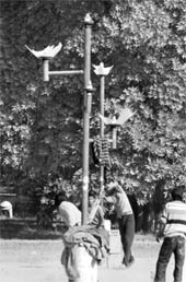 Broken lights at Mango Park in Phase I of Mohali.