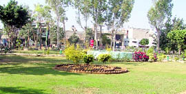 Public park, which has been maintained by residents of Pritam Nagar, Ludhiana