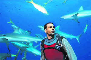 The worst of the lot was multi-starrer Blue, touted as Indias first underwater thriller