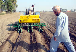 Rural educated youth no longer like to stay back in the village