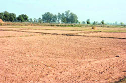 A barren field in Hiranagar subdivision in Kathua. 